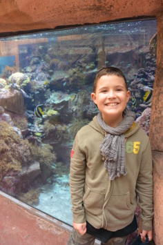 ZOO de BEAUVAL pour H�lo�se et Antoine