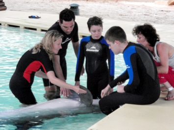 Le rêve de Vitoire, Gabriel, Baptiste et Clément Le rêve de Vitoire, Gabriel, Baptiste et Clément