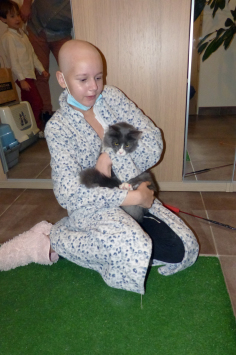 Un joli chat pour Lucile