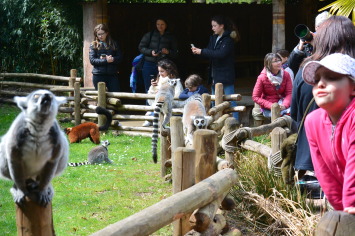 Une sortie au Zoo de la Fl�che  pour Mathilde et Tom