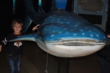 Gabin visite Oc�anopolis en famille