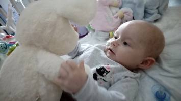 Un petit peu de douceur pour Djody