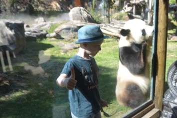 R�ve de NOAM au Zoo de BEAUVAL