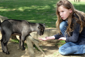 Une belle journ�e pour tous au zoo de Plan�te Sauvage.  