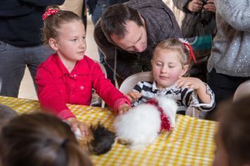 Arbre de No�l novembre 2015