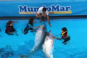 Audrey, Adeline et Louison avec les dauphins  � Benidorm  .