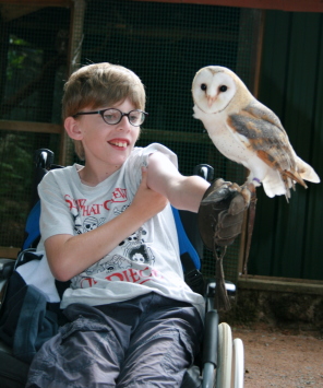 Andrew visite la fauconnerie du puy du fou
