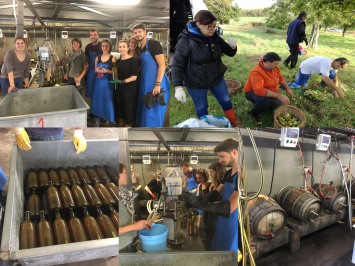 Op�ration jus de pommes