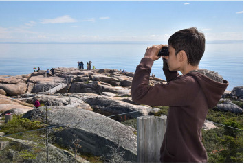 R�ve de Swann � observer des baleines ! �. 