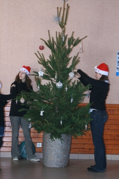 Arbre de Noel