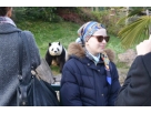 R�ve d'Anastacia au Zoo de Beauval
