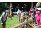 Une sortie au Zoo de la Fl�che  pour Mathilde et Tom