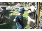 R�ve de NOAM au Zoo de BEAUVAL