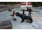 Lise au zoo de la Fl�che