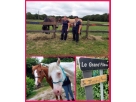 Juline passionn�e de chevaux